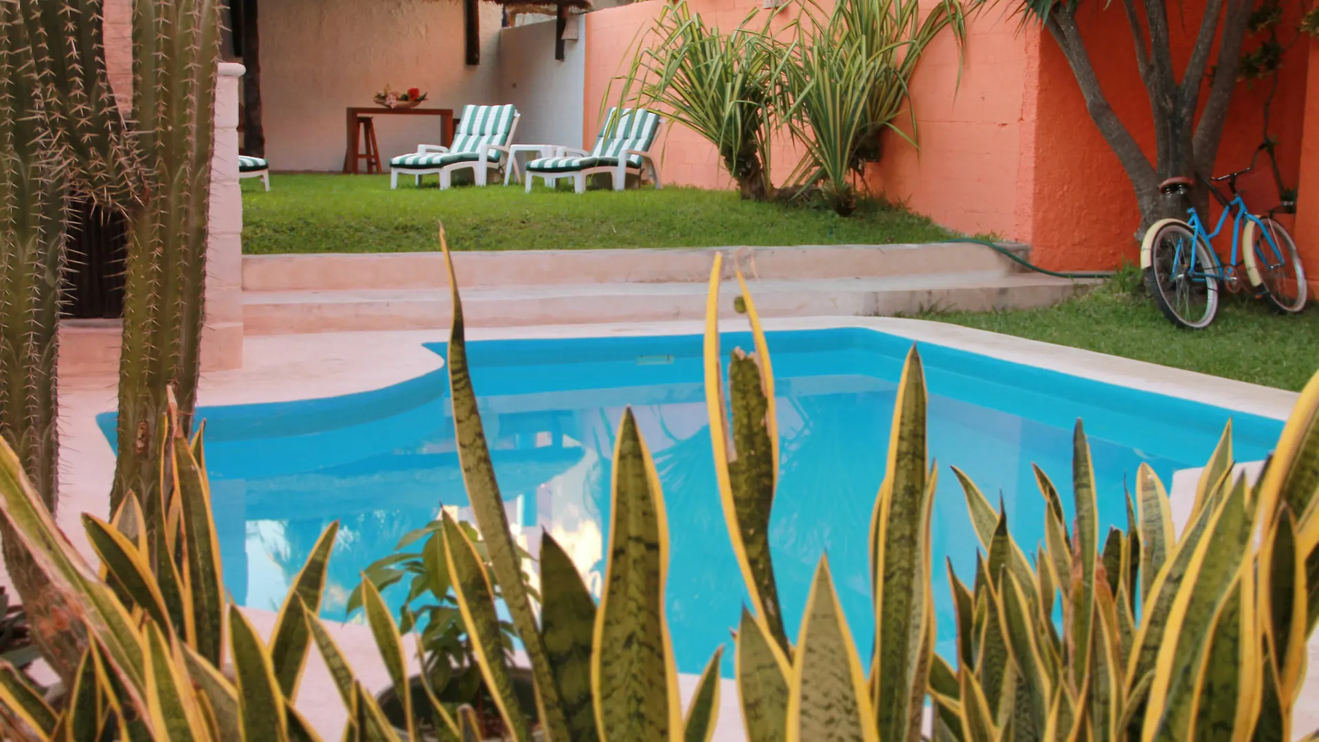 Vida Playa Suites Playa del Carmen