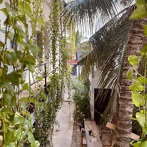 Anana Coliving Inn Playa del Carmen